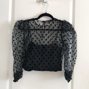 Zara Sheer Polka Dot Crop Top